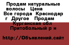 Продам натуральные волосы › Цена ­ 3 000 - Все города, Краснодар г. Другое » Продам   . Курганская обл.,Притобольный р-н